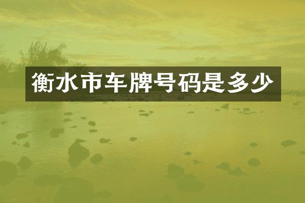 衡水市车牌号码是多少