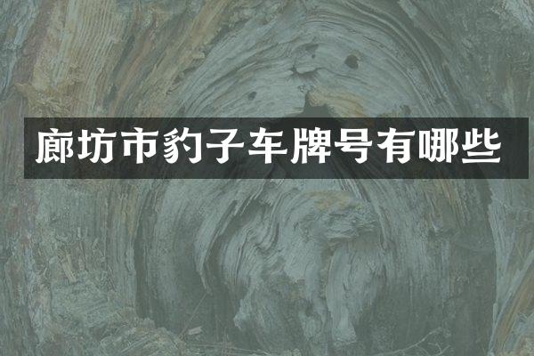 廊坊市豹子车牌号有哪些