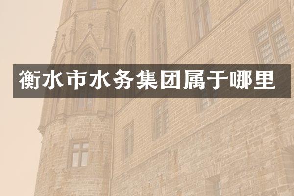 衡水市水务集团属于哪里