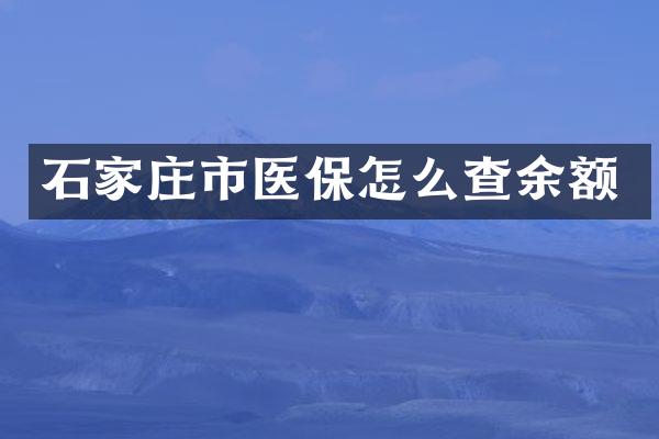 石家庄市医保怎么查余额