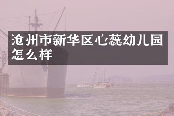 沧州市新华区心蕊幼儿园怎么样
