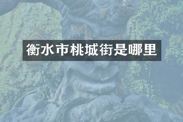衡水市桃城街是哪里