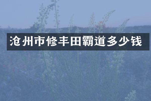 沧州市修丰田霸道多少钱