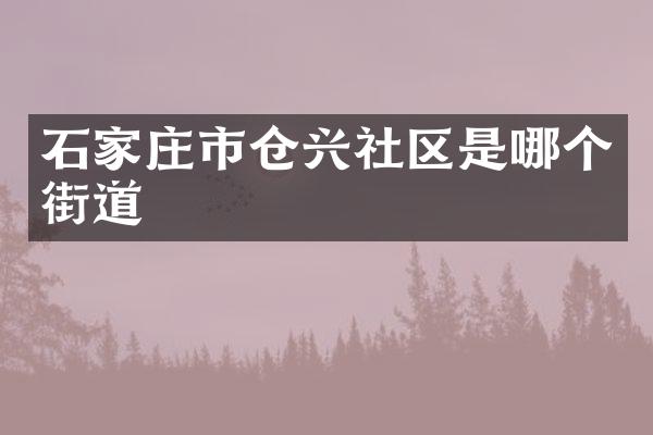 石家庄市仓兴社区是哪个街道