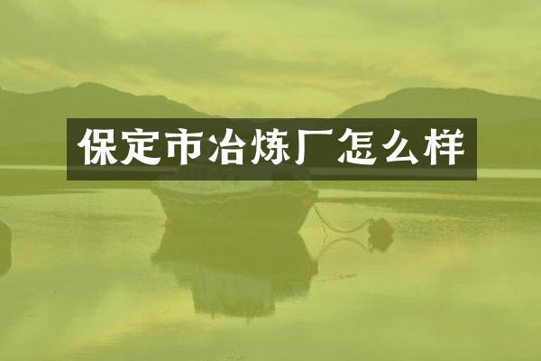 保定市冶炼厂怎么样