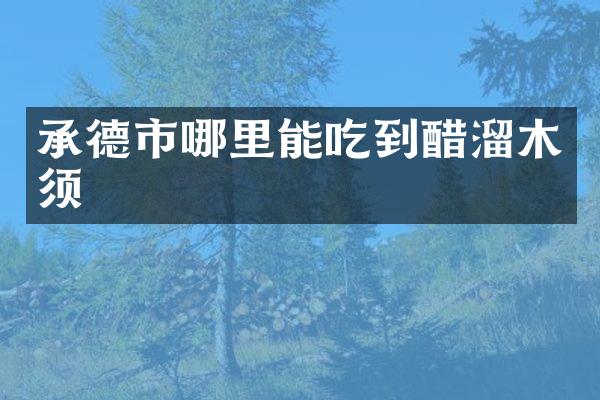 承德市哪里能吃到醋溜木须