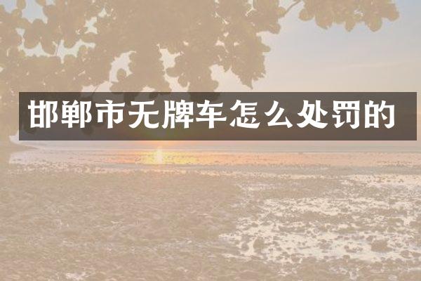邯郸市无牌车怎么处罚的