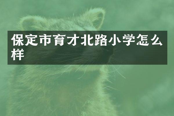 保定市育才北路小学怎么样