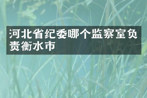 河北省纪委哪个监察室负责衡水市