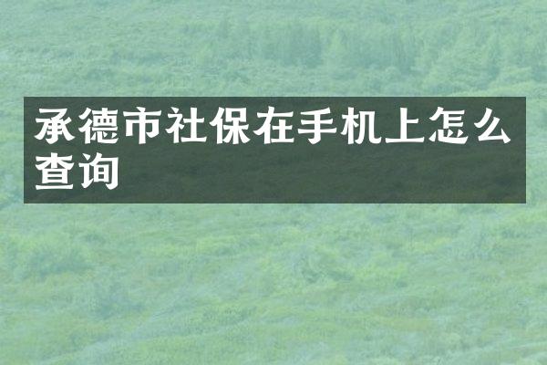 承德市社保在手机上怎么查询