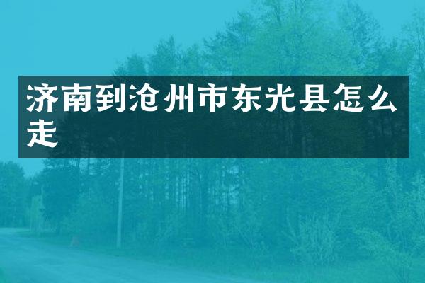 济南到沧州市东光县怎么走