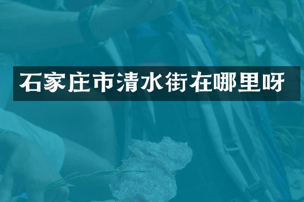 石家庄市清水街在哪里呀