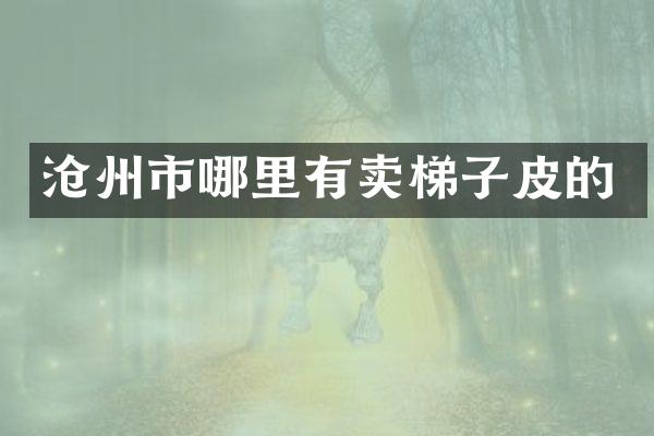 沧州市哪里有卖梯子皮的
