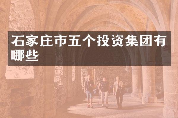 石家庄市五个投资集团有哪些
