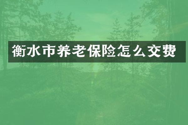 衡水市养老保险怎么交费