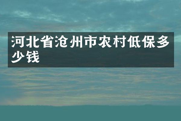 河北省沧州市农村低保多少钱