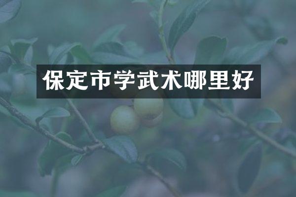 保定市学武术哪里好