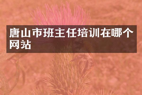 唐山市班主任培训在哪个网站