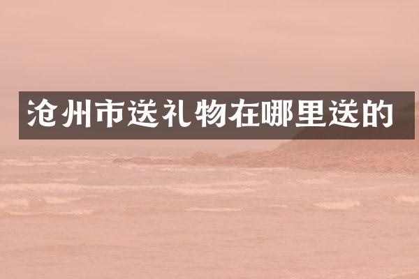 沧州市送礼物在哪里送的