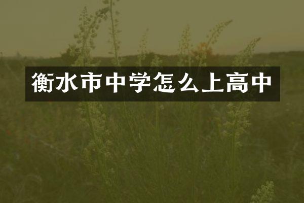 衡水市中学怎么上高中