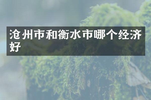 沧州市和衡水市哪个经济好