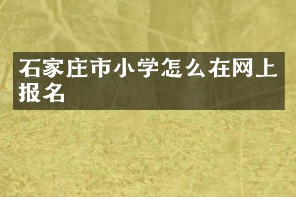 石家庄市小学怎么在网上报名
