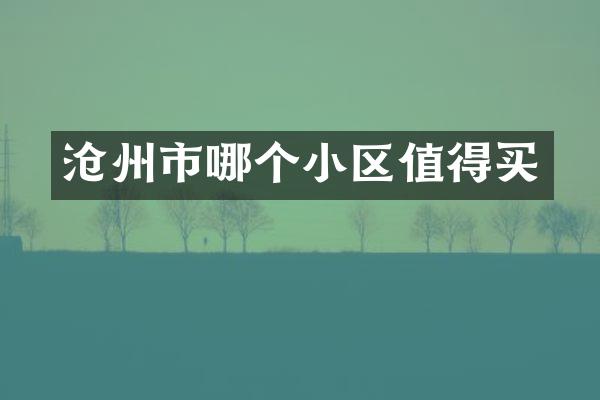 沧州市哪个小区值得买