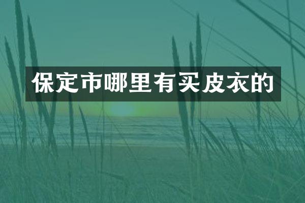 保定市哪里有买皮衣的