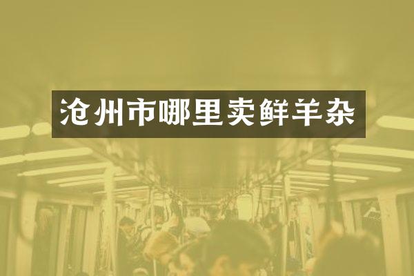 沧州市哪里卖鲜羊杂
