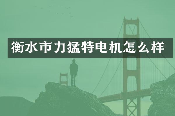 衡水市力猛特电机怎么样