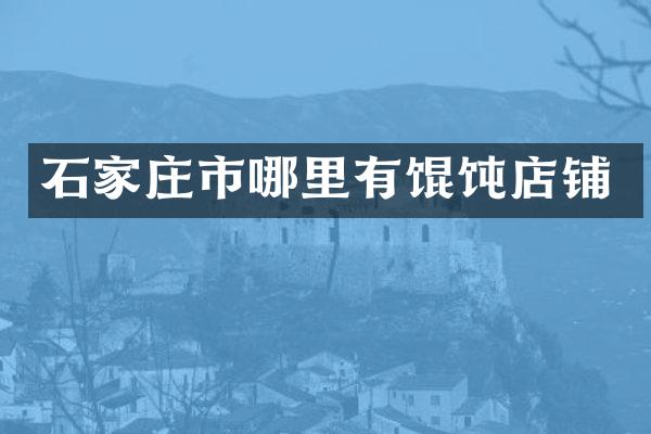 石家庄市哪里有馄饨店铺