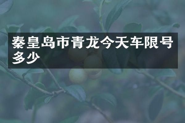 秦皇岛市青龙今天车限号多少