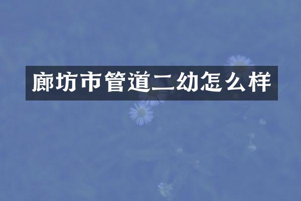 廊坊市管道二幼怎么样