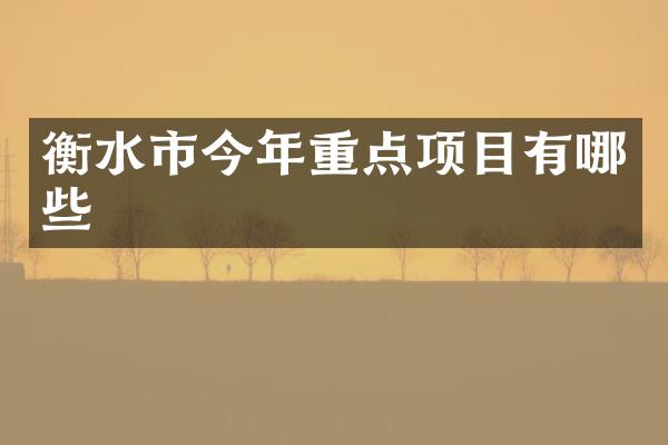 衡水市今年重点项目有哪些