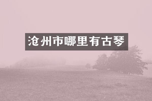 沧州市哪里有古琴