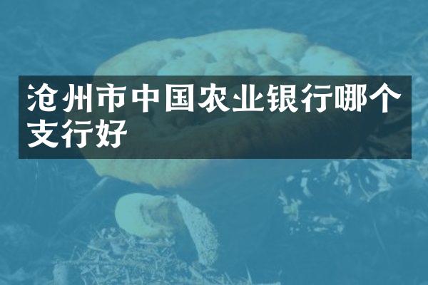 沧州市中国农业银行哪个支行好
