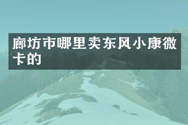 廊坊市哪里卖东风小康微卡的
