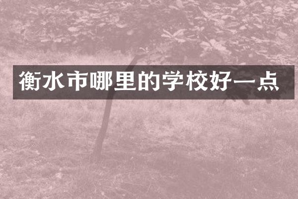 衡水市哪里的学校好一点