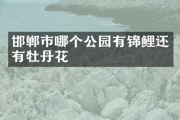 邯郸市哪个公园有锦鲤还有牡丹花
