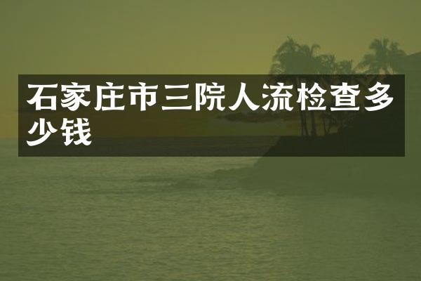 石家庄市三院人流检查多少钱