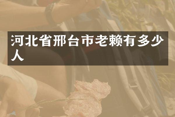 河北省邢台市老赖有多少人