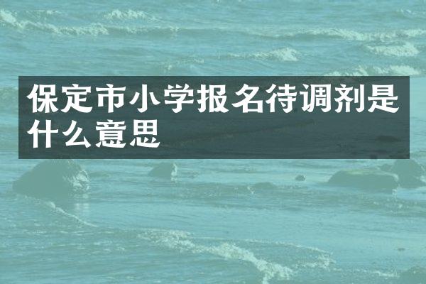 保定市小学报名待调剂是什么意思