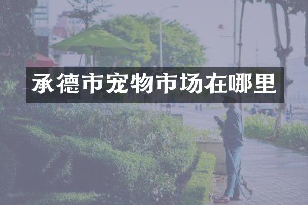 承德市宠物市场在哪里