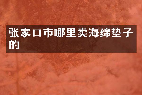 张家口市哪里卖海绵垫子的