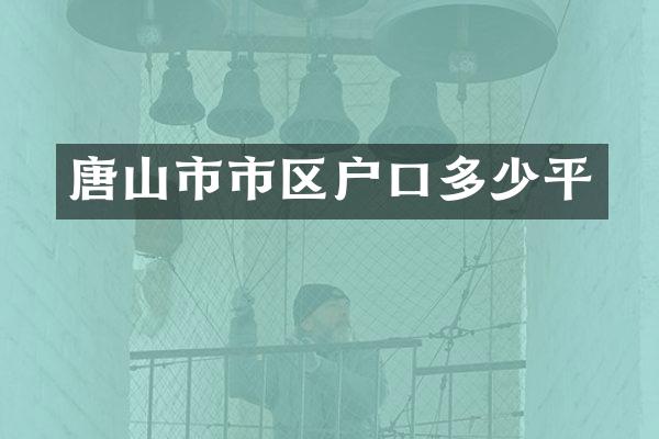 唐山市市区户口多少平
