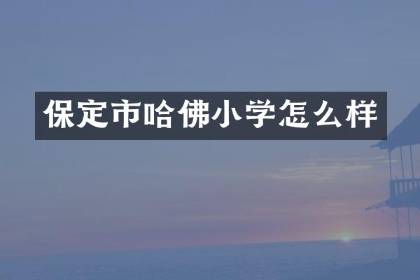 保定市哈佛小学怎么样