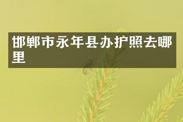 邯郸市永年县办护照去哪里