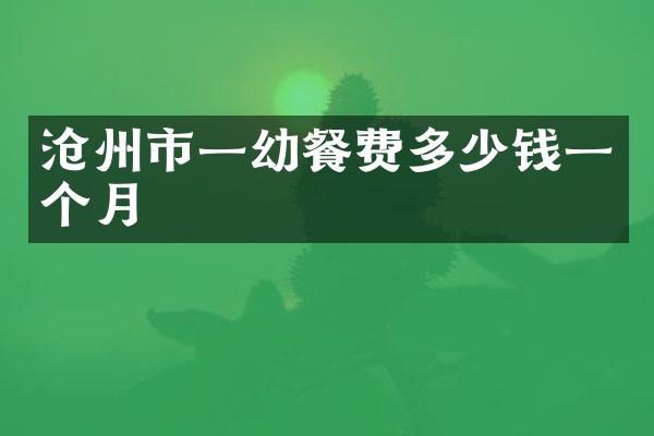 沧州市一幼餐费多少钱一个月