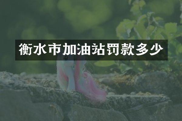 衡水市加油站罚款多少
