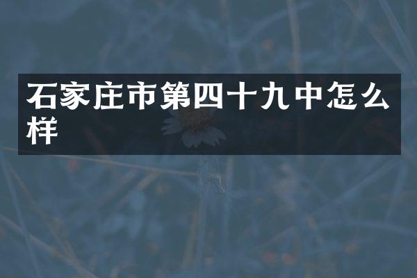石家庄市第四十九中怎么样